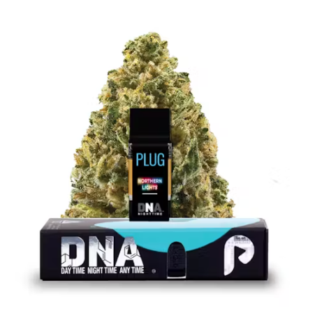 Plugplay - DNA: Northern Lights - 1 g