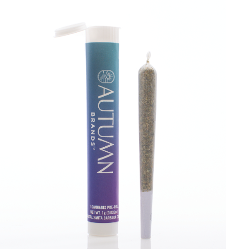 Autumn Brands - Purple Dump Truck (i) - Pre-roll - 1g