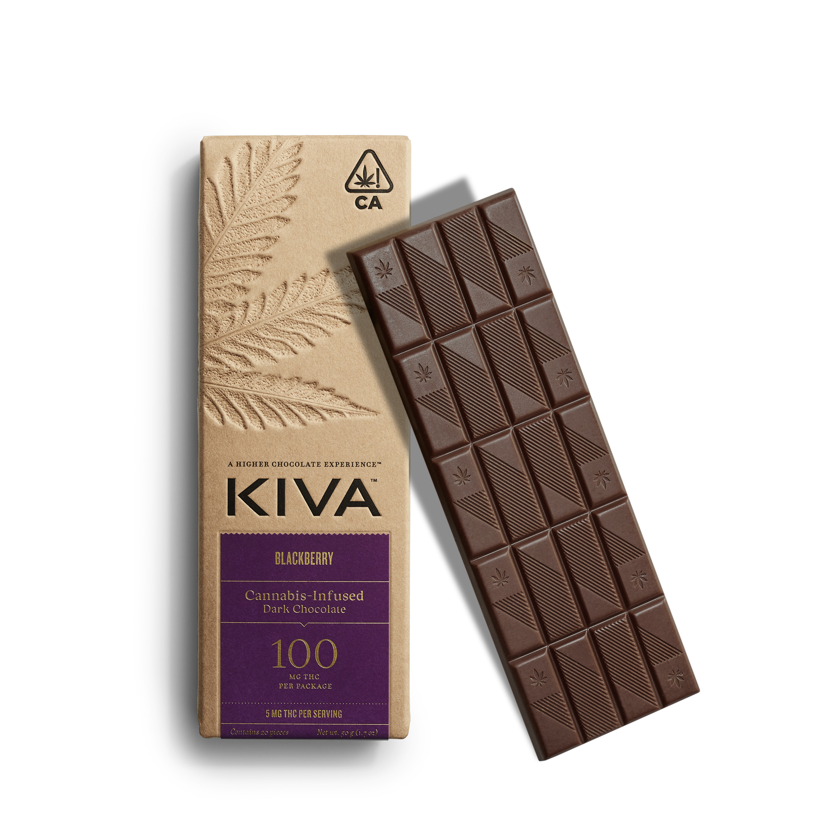 BLACKBERRY DARK CHOCOLATE BAR | 100MG