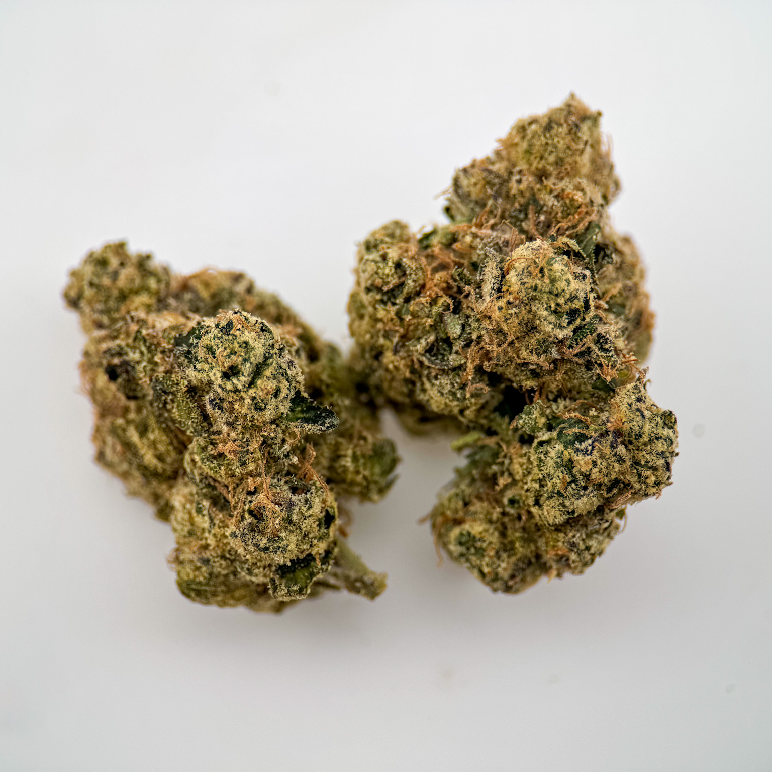 MM Eighth Silky Gelato