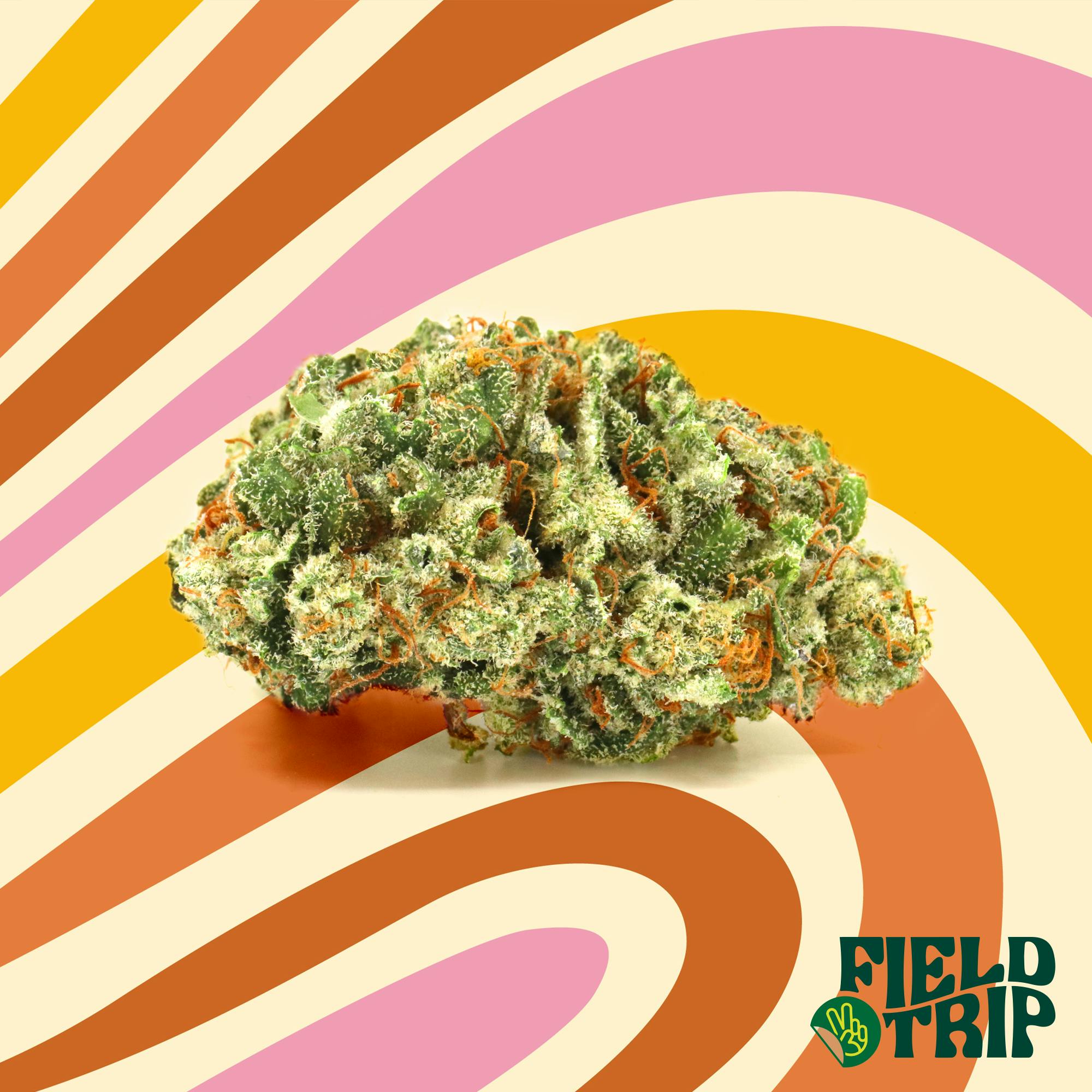 Shaved Ice | Smalls | 10g