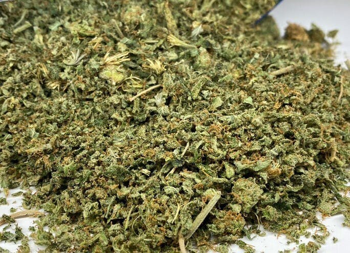 Blue Venom (Blue Dream X White Widow) - 14g Sugar Shake