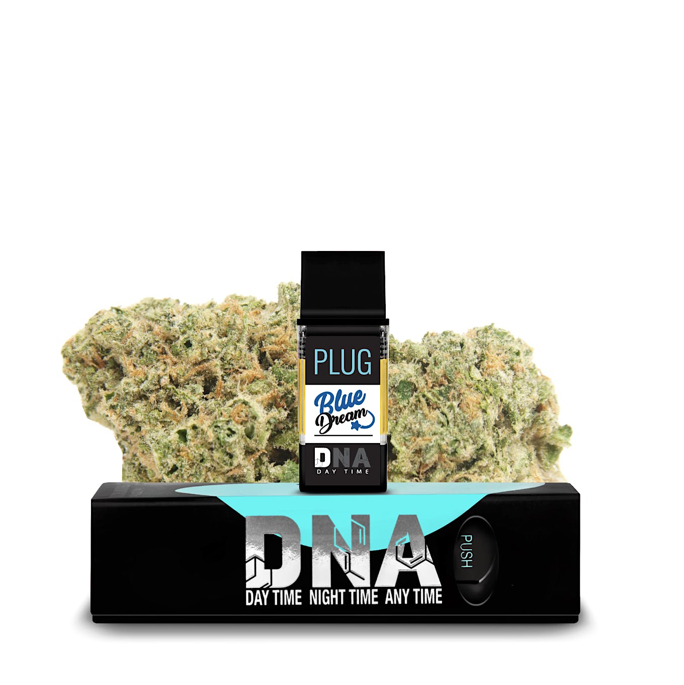Plugplay - DNA: Blue Dream - 1 g