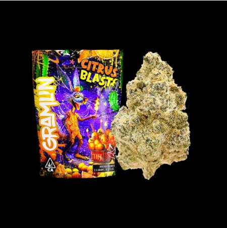 Citrus Blast - 14g Indoor Flower (Gramlin)