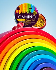 PRIDE PASSIONFRUIT PUNCH CAMINO