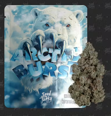 Seed Junky - Artic Burst - Flower - 3.5G