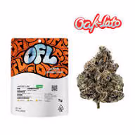 Oakfruitland 7G - Beach Break