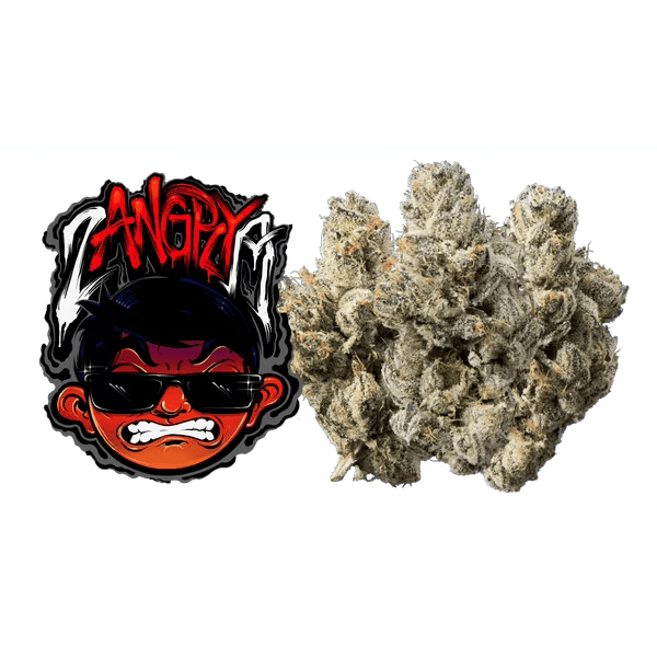 zANGRYa 3.5G