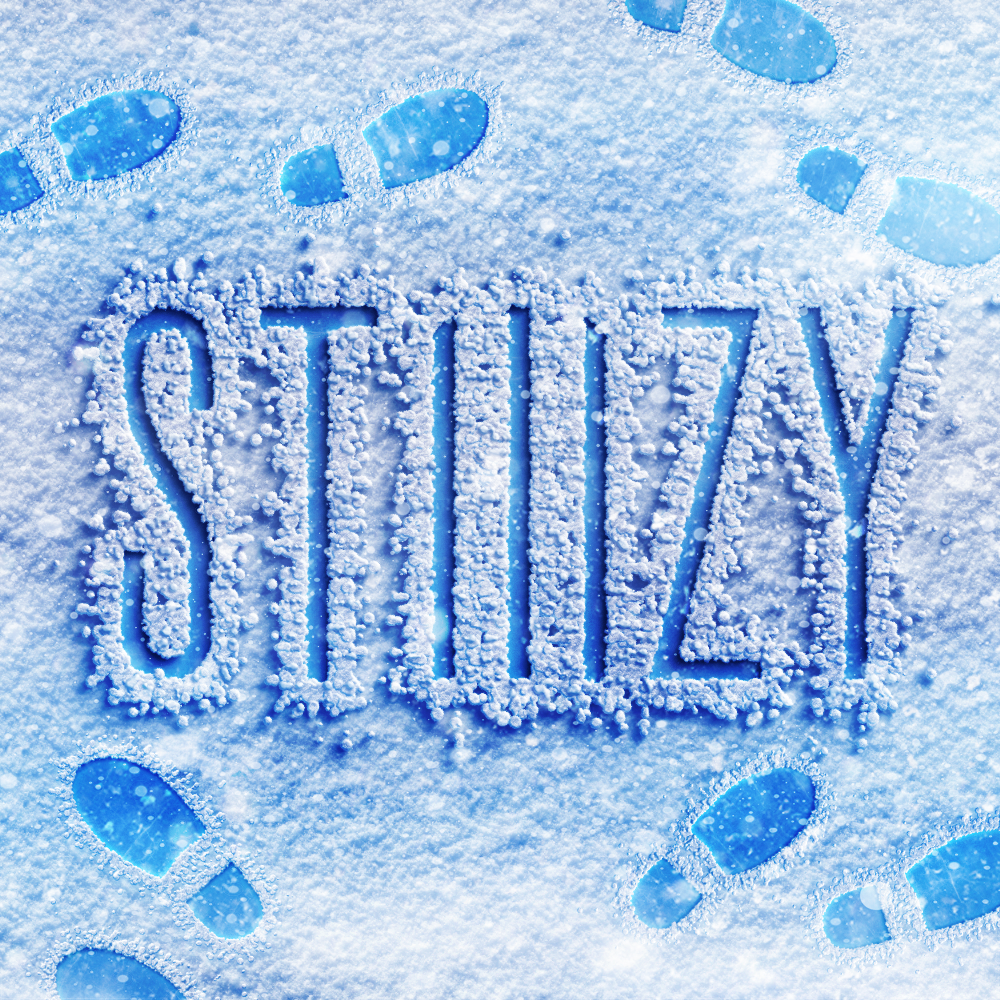 STIIIZY Pro Battery Adjustable Temp | Silver