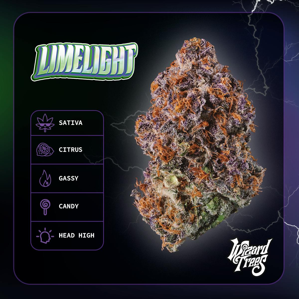 Wizard Trees | 3.5g Flower - Limelight