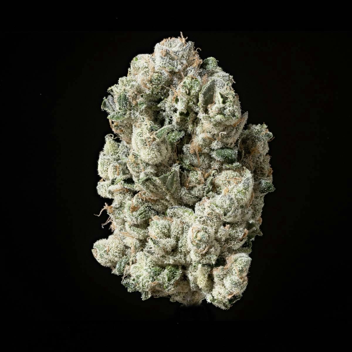 Sticky Status | The One | Big Buds | 3.5g