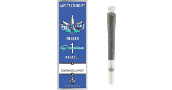 Presidential Blue Raspberry Infused Pre-Roll 1g