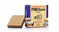 Peanut Butter Jelly Dark Chocolate 100mg - Chocolate