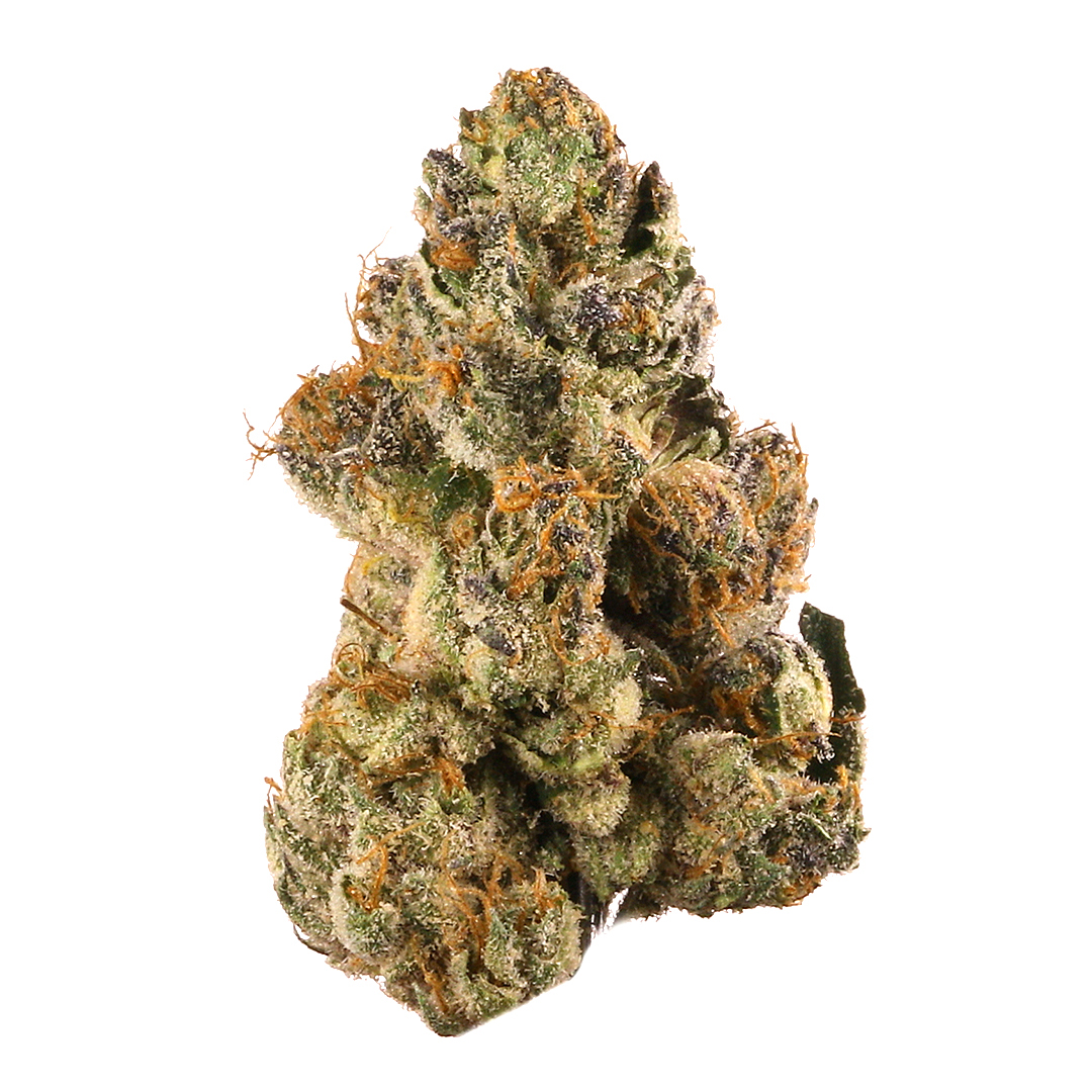 GELATO 3.5G