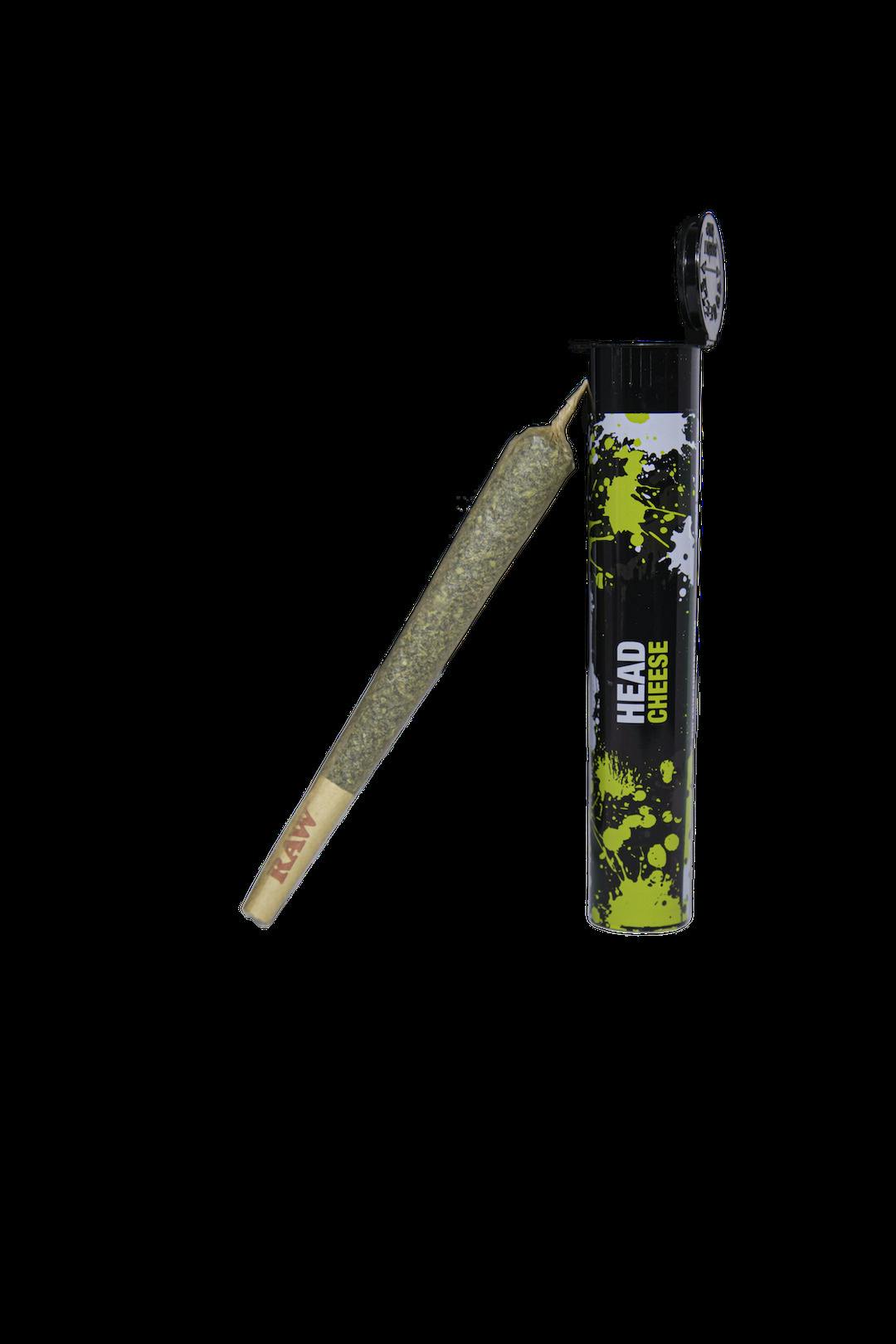 Polaris Alien Gary (H) Pre-Roll