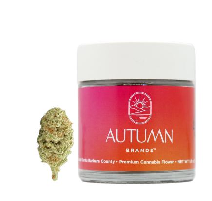 Autumn Brands 3.5g G-Runtz
