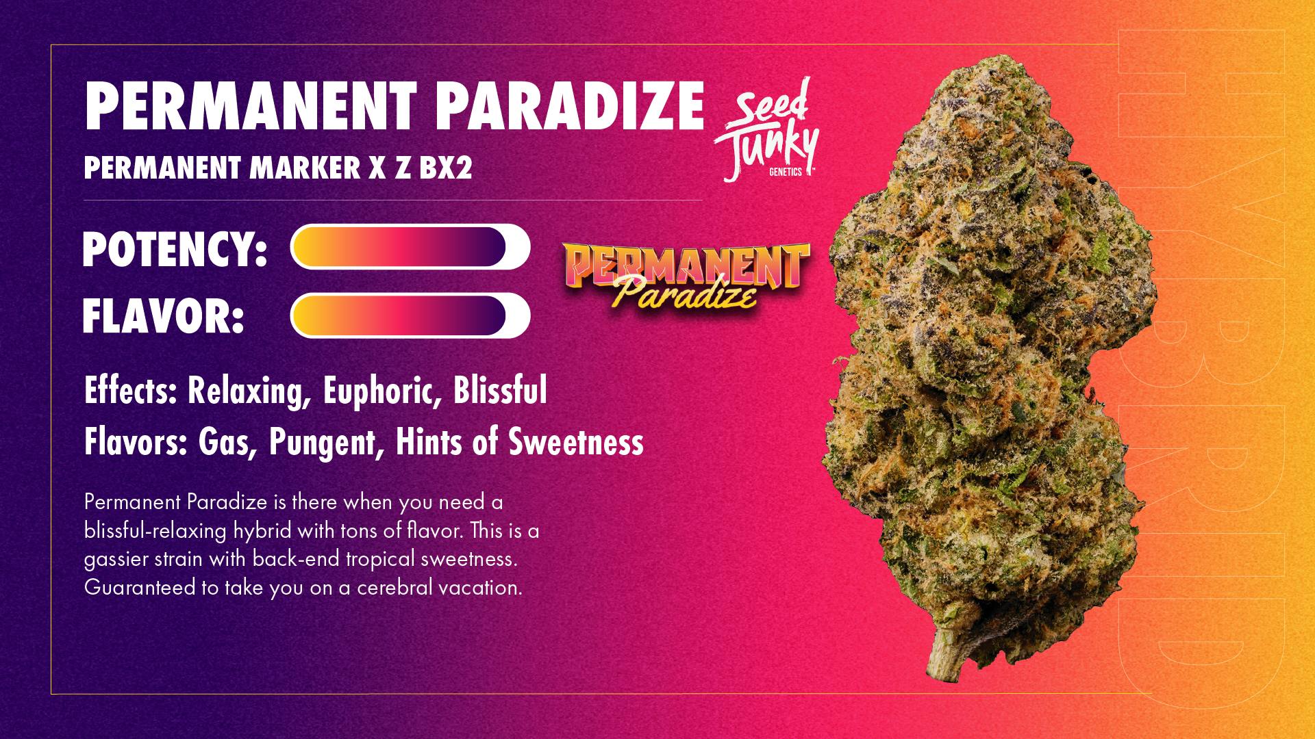 Seed Junky | Permanent Paradize | Big Buds