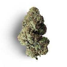 bon voyage | Big Buds | 3.5g