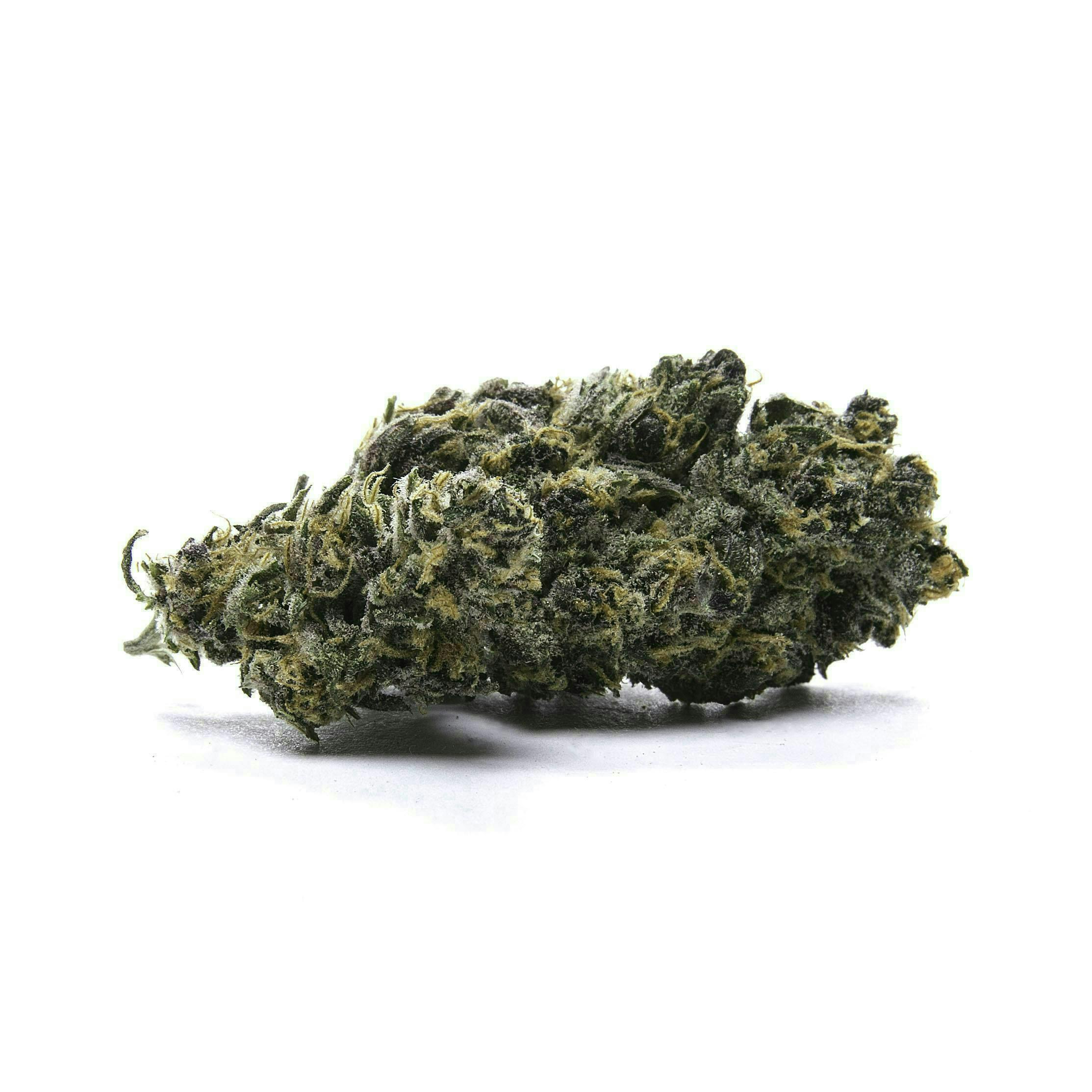 Quiet Kings | Cromagnon Man | Big Buds | 14g