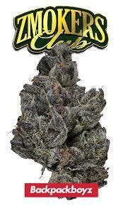 Backpackboyz Zmokers Club (I) Pre-Roll