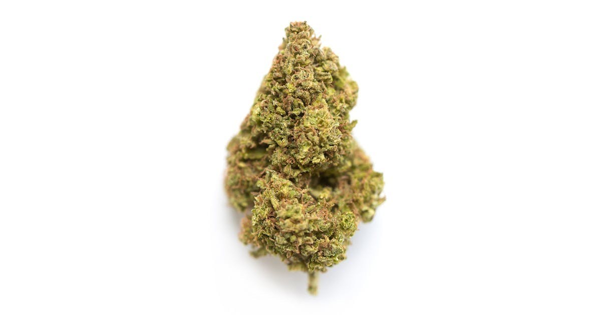 AMA | Truffle Skunk