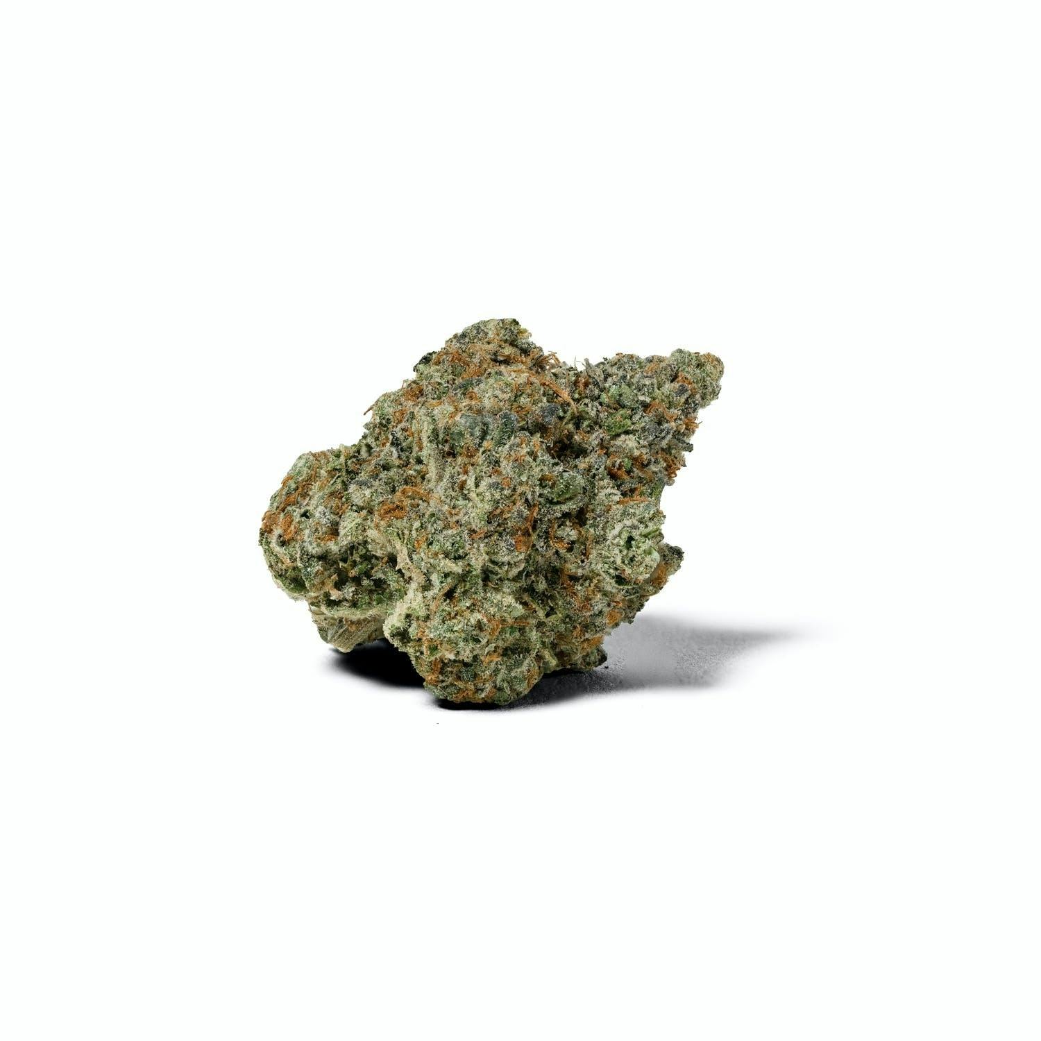 Rythm - Tahoe Alien
