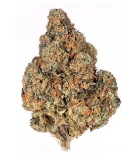 Polaris | Head Cheese