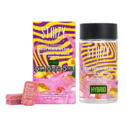 FRUIT PUNCH SPLASH 100MG NANO