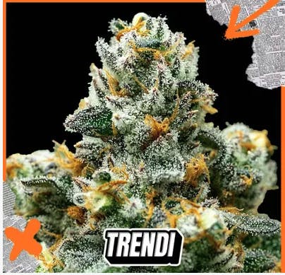 Mean Streaks 3.5g flower