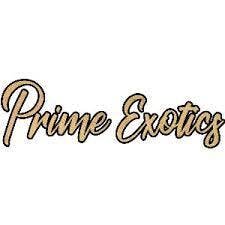 Prime Exotics - Runtz - Badder