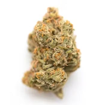Ghost Town Mango Sherb Whole Flower 14g