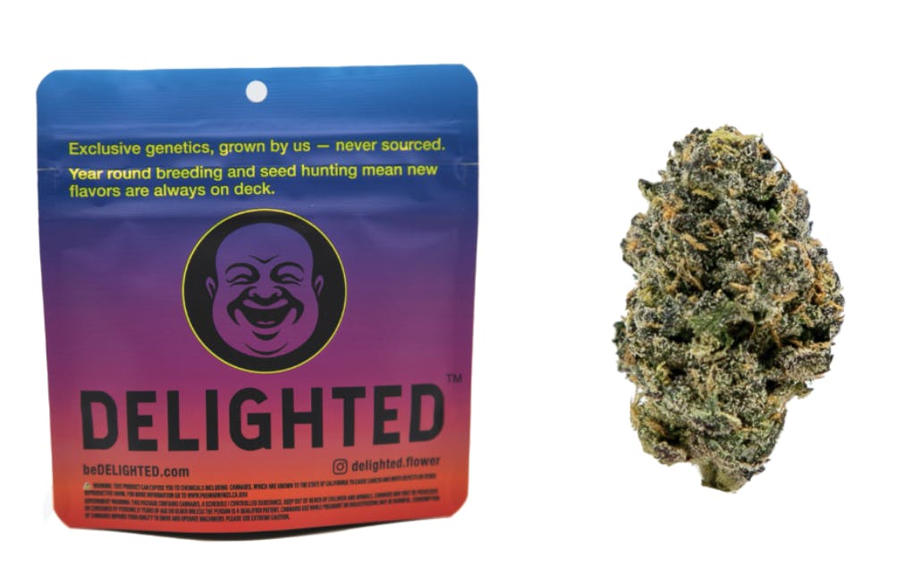 DELIGHTED | HYBRID | PINK ZERBERT | 3.5G