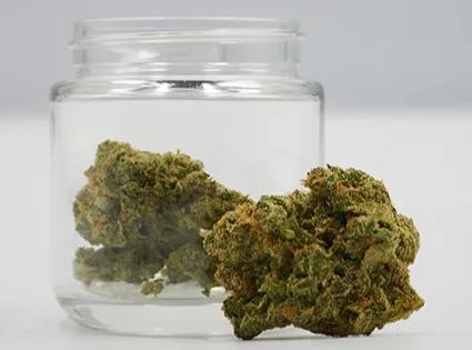 Diplomat | Flower 1g - Sinmint (S) x Jet Fuel (S) #1
