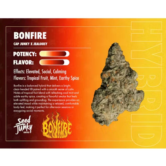 Seed Junky Genetics - 14g Smalls - Bonfire