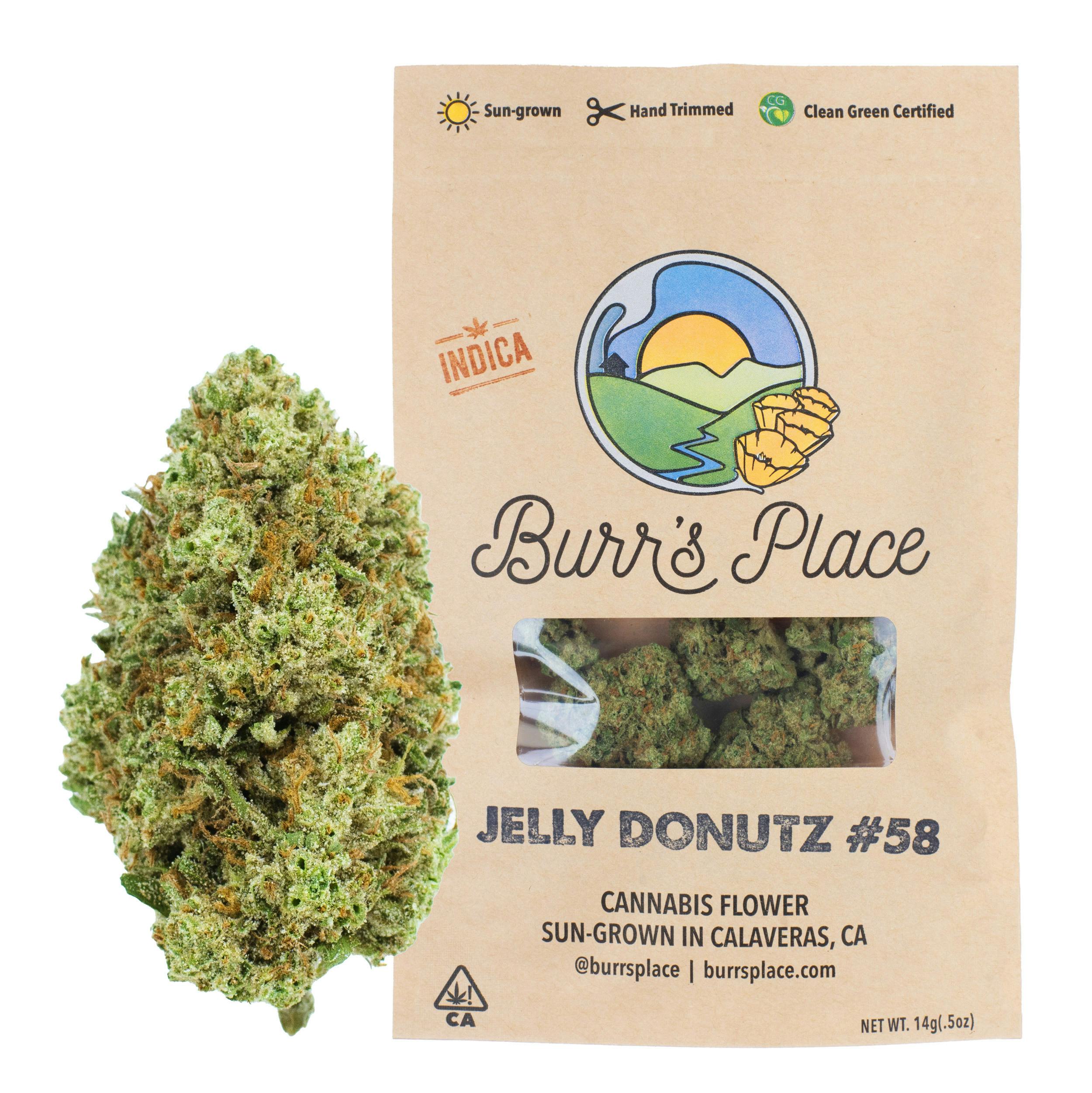Burr’s Place | Jelly Donutz - 14g Bag (Indica)