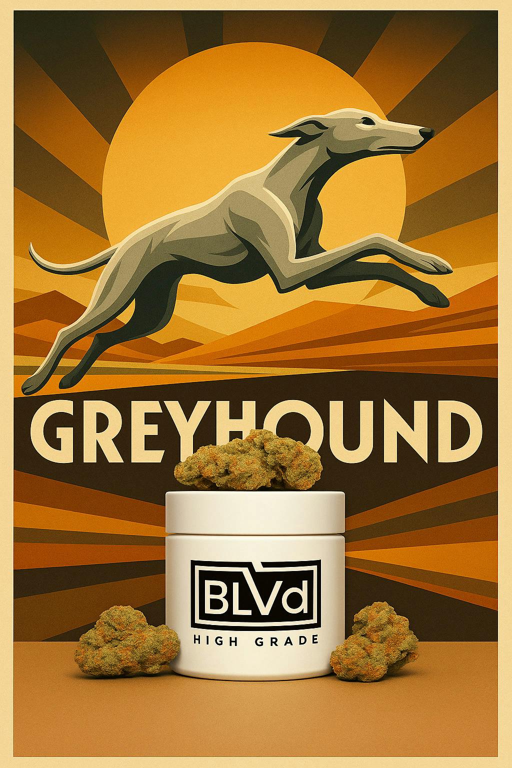 BLVD Greyhound (H) Flower