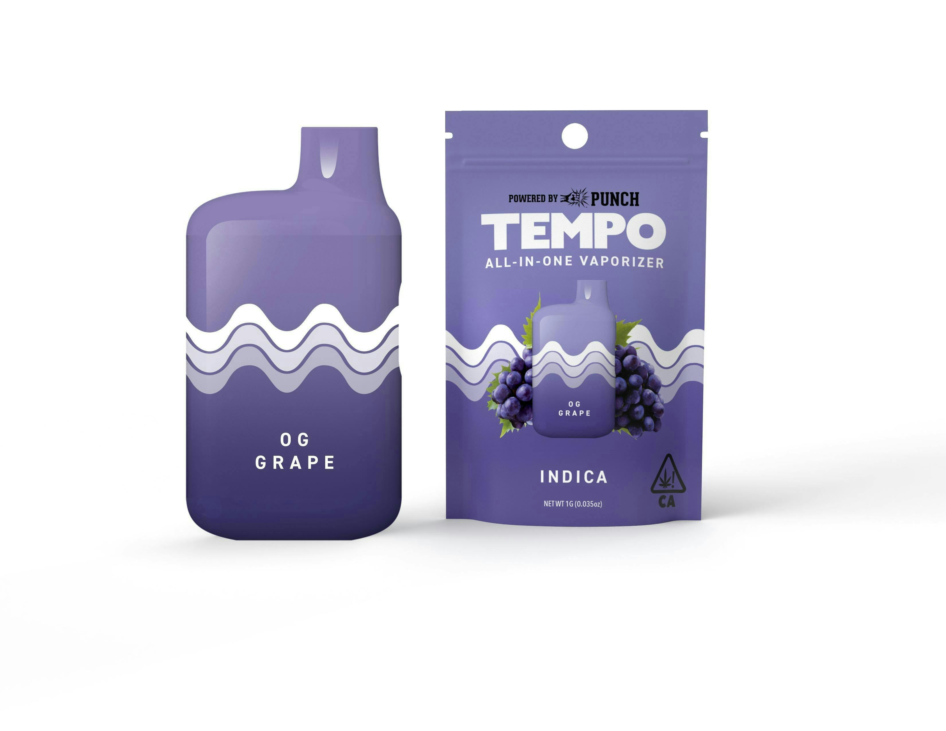 Tempo | OG Grape | AIO Disposable | 1g