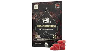 GUAVA STRAWBERRY (LIVE ROSIN)