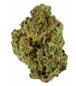 STIIIZY | Lemon Cherry Haze 3.5g