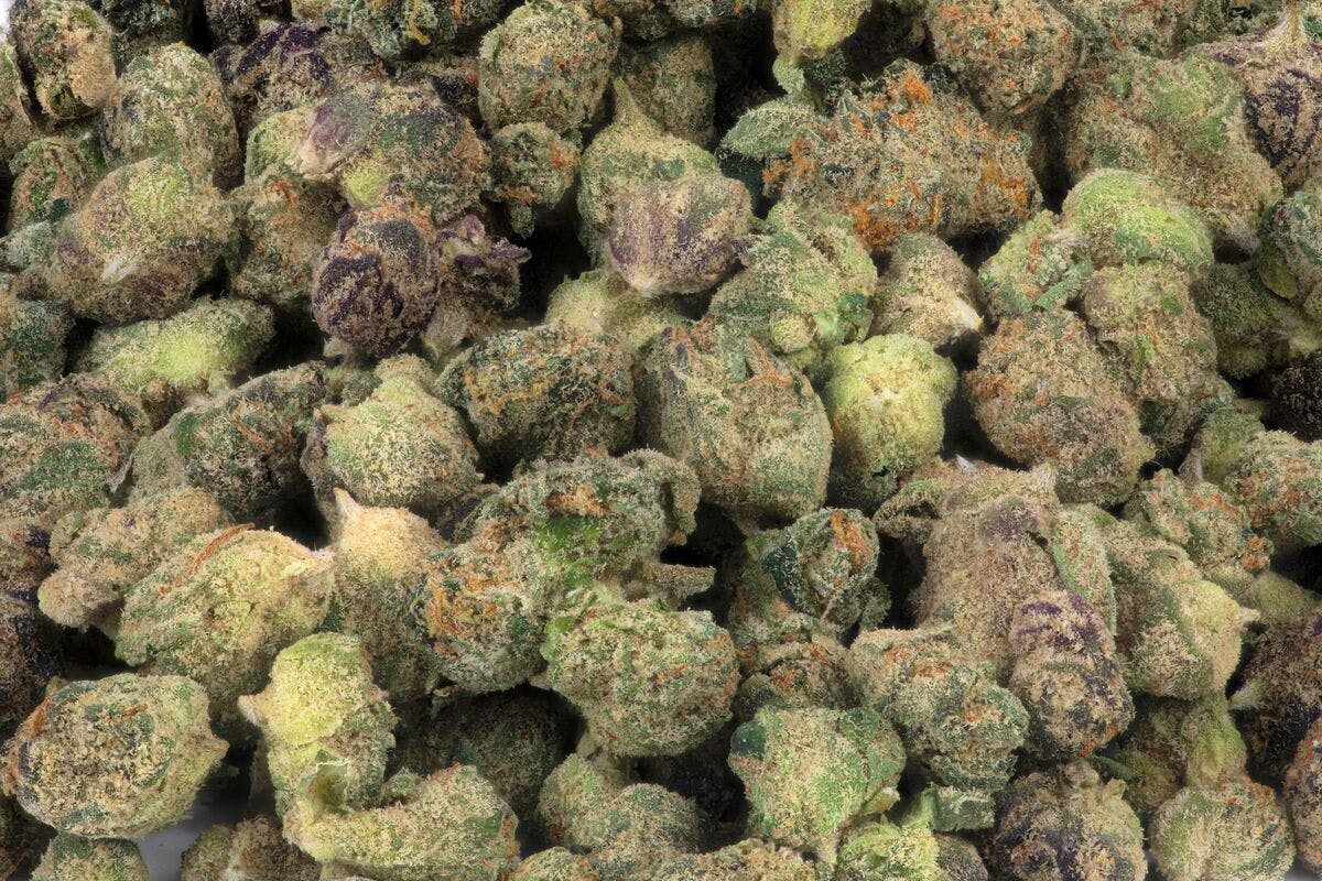 Micro Greenz | Indoor Flower