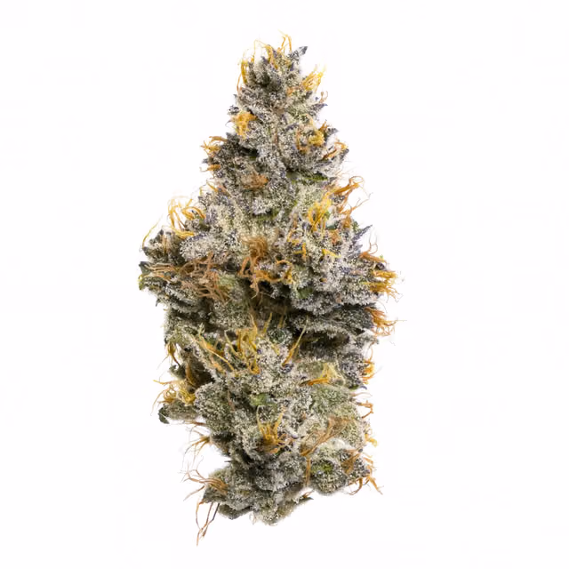 Sherbanger F2 Indoor (3.5g)