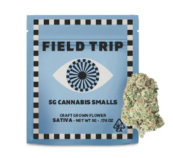 Field Trip Smalls 5g Mango Haze