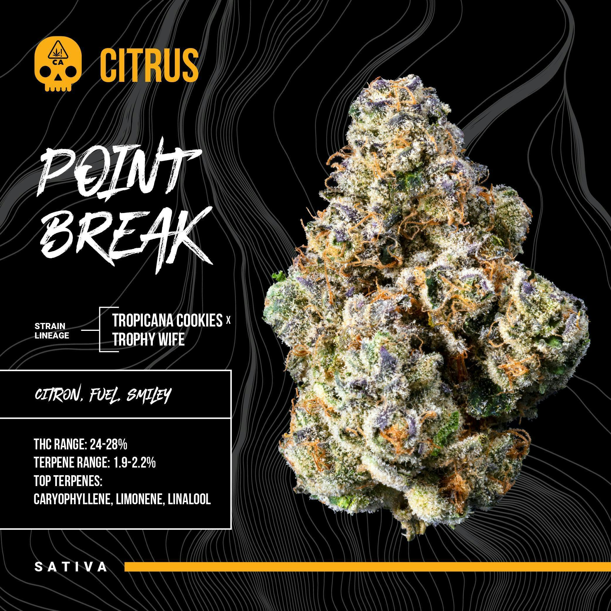 BOSKY | Point Break | Big Buds | 3.5g