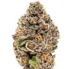 Medizin | Heavy D