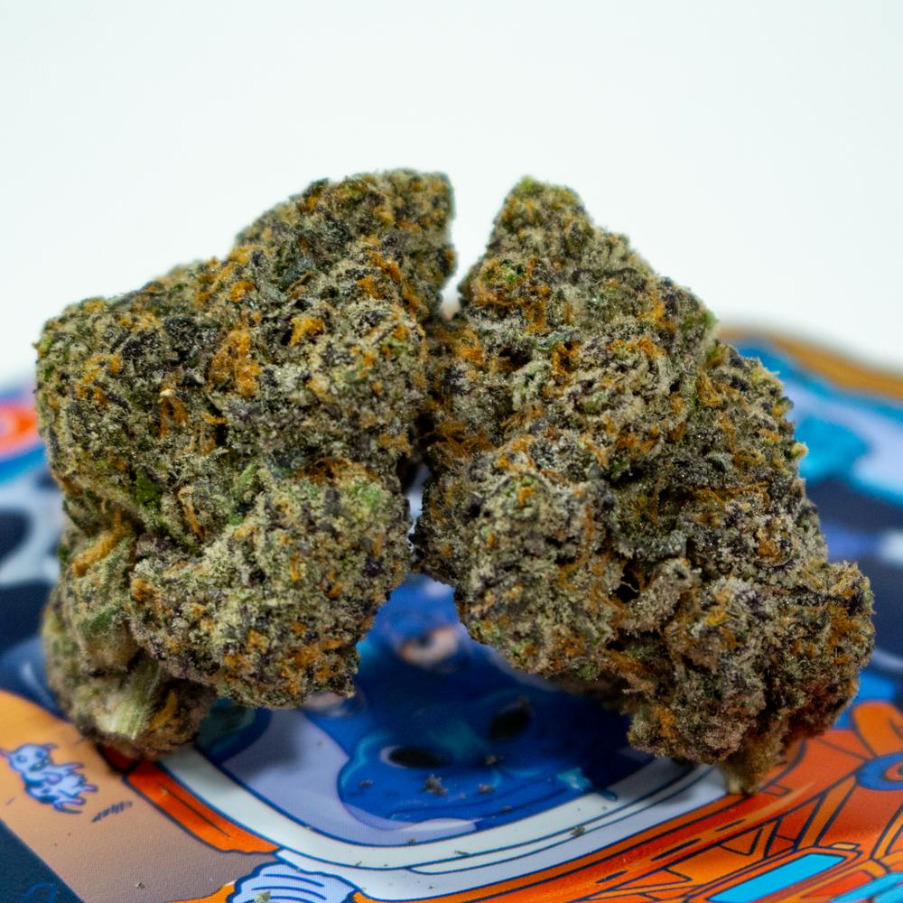 Gorgonzola