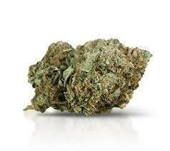 Mojo | Sunset Sherb | Big Buds | 14g