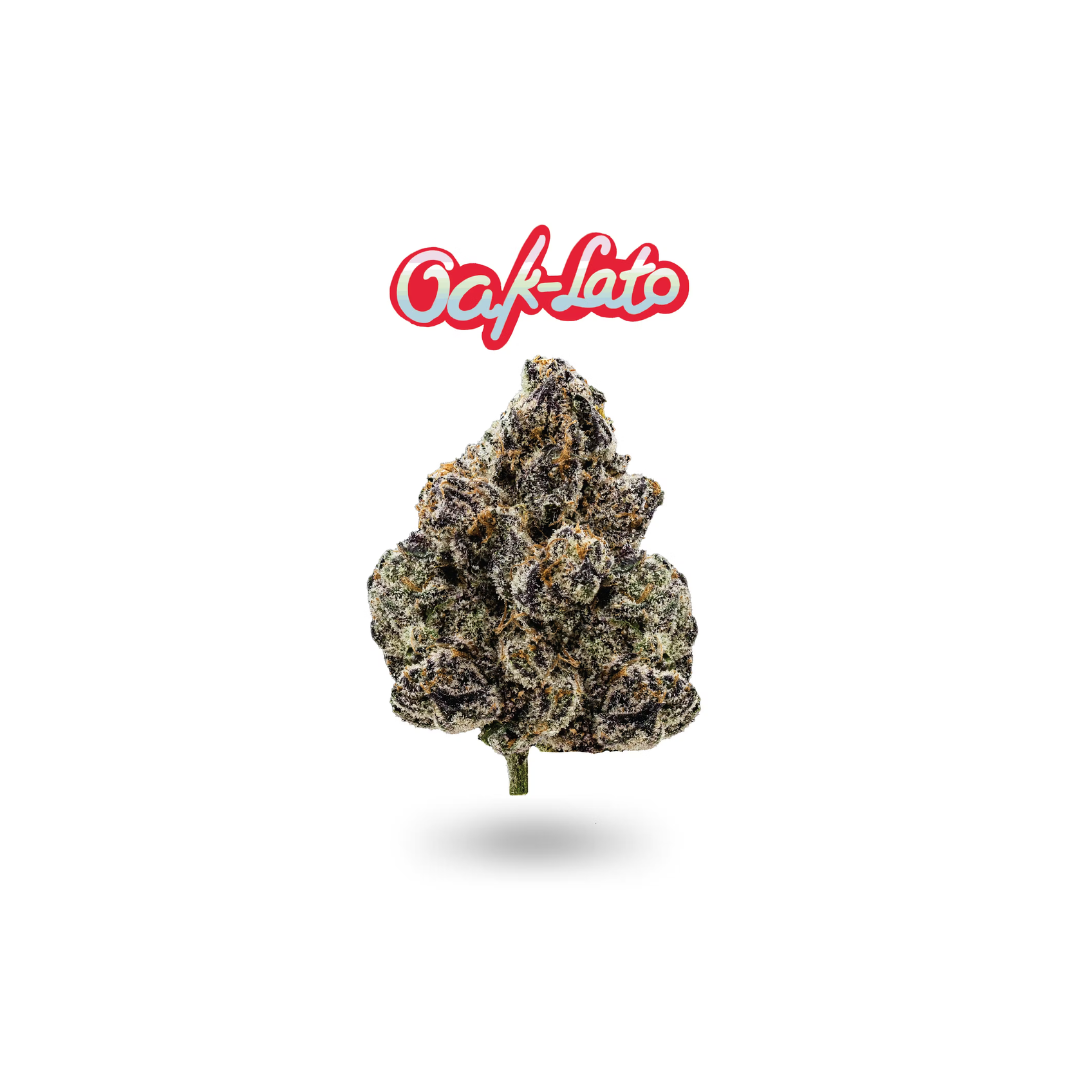 Oakfruitland - Cereal Milk (Hybrid) Flower 7g