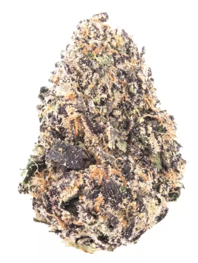 STIIIZY | Cocolato 14g