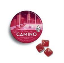 Camino - Wild Cherry Gummies (20pk) - 100mg