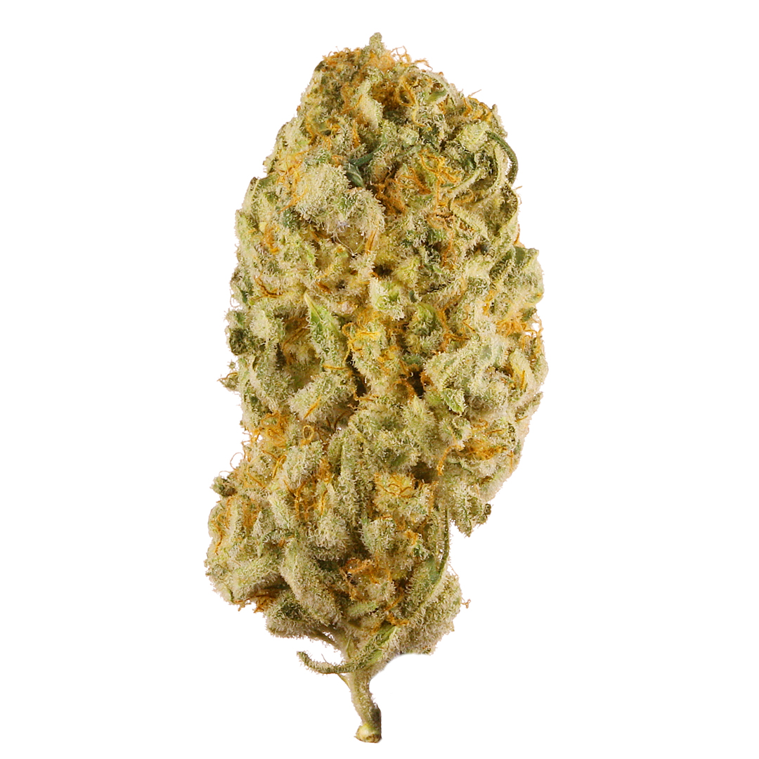JACK HERER 3.5G